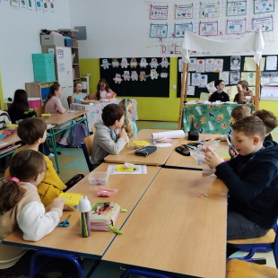 WhatsApp Image 2026-02-20 at 12.52.04