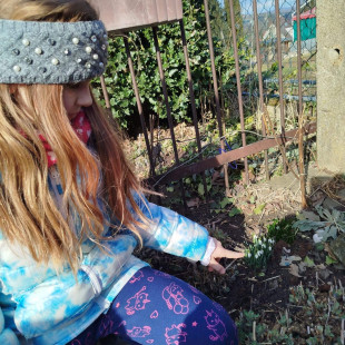 857e3113-8fed-4c4f-85b2-0437e5d0fa2c