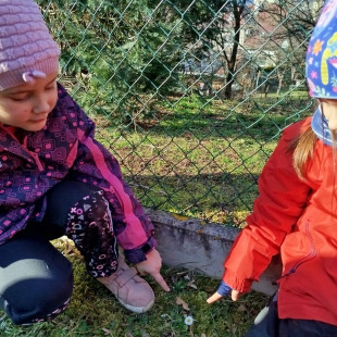 PHOTO-2026-02-25-16-36-55