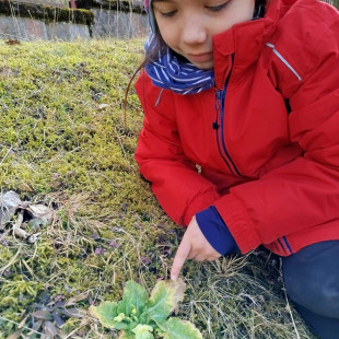 PHOTO-2026-02-25-16-36-561