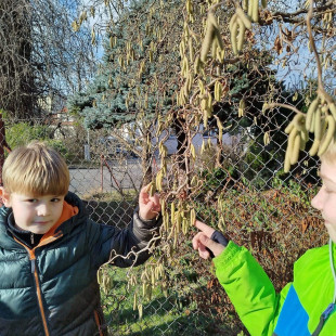 PHOTO-2026-02-25-16-36-571