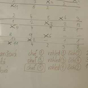 WhatsApp Image 2026-04-16 at 12.49.44 (1)