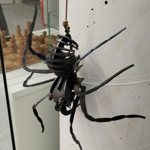 IMG_20260420_082847_edit_1064088140531163