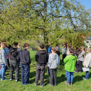 original-EA708CB5-8742-4790-A683-5E3F7E0C3FA7