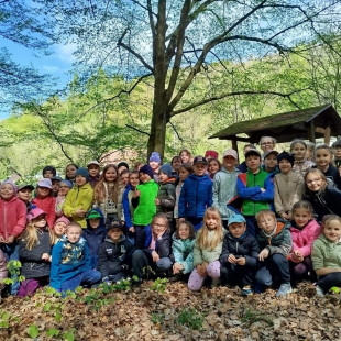 04a57e3d-4a67-41d0-bb4b-ff205b78a152