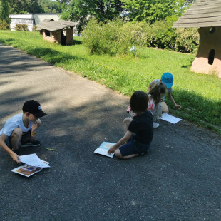 IMG-20260525-WA0003