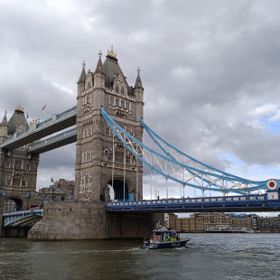 IMG-20260605-WA0007