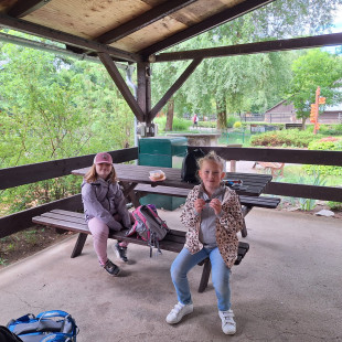 IMG-20260615-WA0038