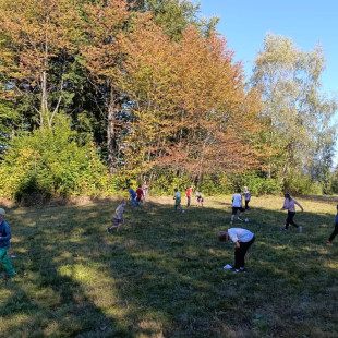 IMG-20260930-WA0017
