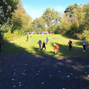 IMG-20261001-WA0012