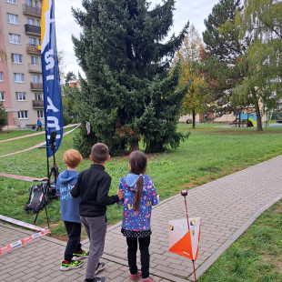 IMG-20261016-WA0010