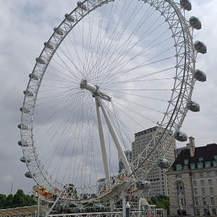 IMG-20250609-WA0031