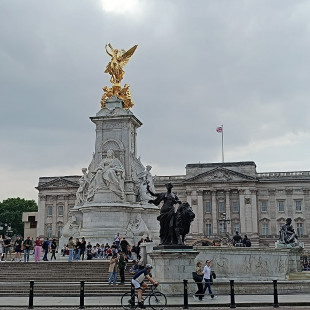 IMG-20250609-WA0037