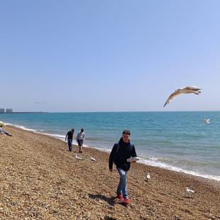 IMG-20250611-WA0079