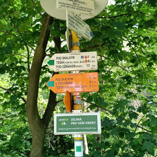 IMG-20250618-WA0010