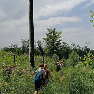IMG-20250619-WA0021