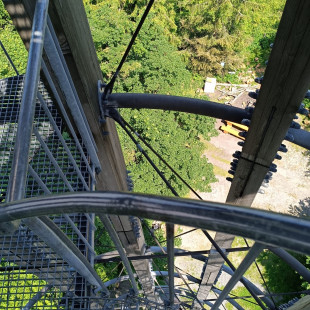IMG-20250619-WA0025