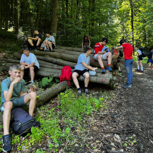 IMG-20250620-WA0020