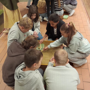 IMG-20250918-WA0024