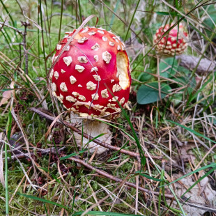 WhatsApp Image 2025-09-23 at 14.31.27