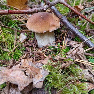 WhatsApp Image 2025-09-23 at 14.31.27(1)