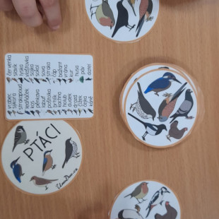 WhatsApp Image 2025-09-25 at 16.41.05(4)