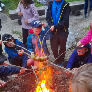 WhatsApp Image 2025-09-25 at 16.41.05(5)