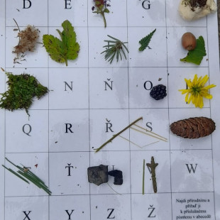 WhatsApp Image 2025-09-25 at 16.41.07(5)