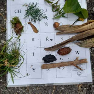 WhatsApp Image 2025-09-25 at 16.41.08