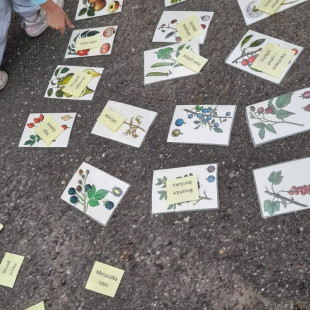 WhatsApp Image 2025-09-25 at 16.41.08(3)