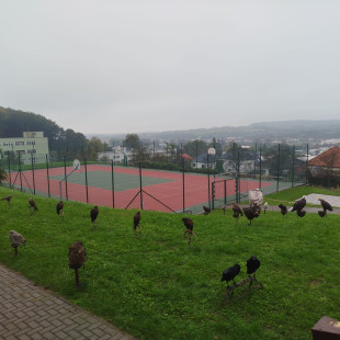 IMG-20251009-WA0023