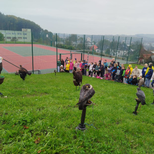 IMG-20251009-WA0029