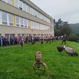 IMG-20251009-WA0030
