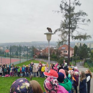 IMG-20251009-WA0033