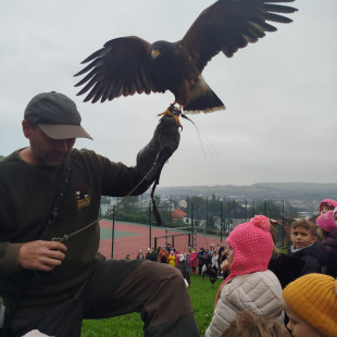 IMG-20251009-WA0034