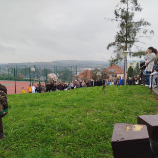 IMG-20251009-WA0041