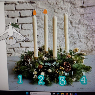 IMG_20251208_114544_687