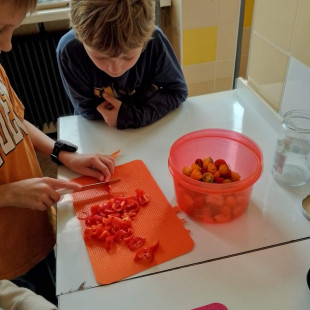 f6e205d4-cebc-4a7e-a144-dc6f1666c5cb