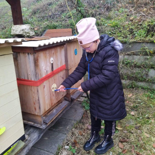 812b0197-367a-4fc3-885a-ffc663e85680