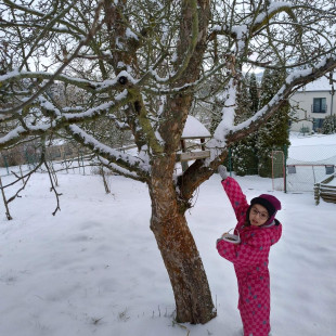 3ecf4f21-b1e3-4e62-b265-219952a4cd43