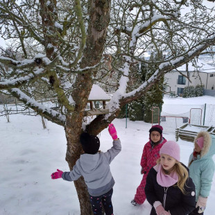 60c066cf-e63a-4135-8286-f865f67d193a