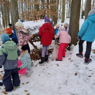 b2cb823c-23ea-4d7e-aaaa-88822dadfba2