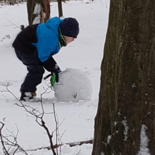 9ec45901-46d8-4f1c-a1d4-b9e186ee9e9b1