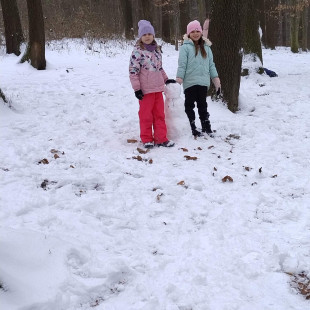 d0aa5b7c-8669-4dbf-8af7-b91b463bbd60_2