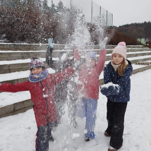 f13c5229-bd43-4862-b1eb-1dbb4dd31893