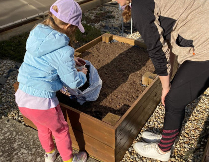 Od semínka ke zdraví: jarní aktivity v kroužku Dovedné ruce i V. oddělení ŠD
