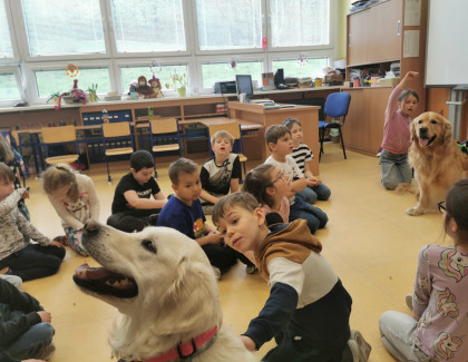 Bratrstvo psích tlapek v 1. třídách