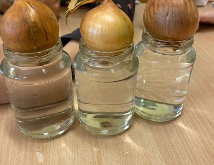 Pokus s cibulí ve školní družině 