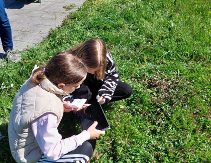 Čaj z lučního kvítí - 5.B