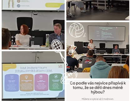 Vzdělávání učitelů v oblasti pohybu a tělesné zdatnosti 